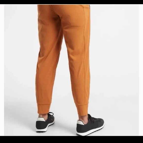 NWT ATHLETA Trekkie North Jogger in Cattail Brown 
size 24 - Picture 6 of 12